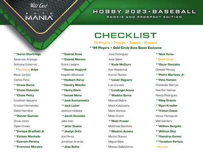 2023 Wild Card Auto Mania Rookie & Prospect Edition Baseball Hobby 12 Box Case